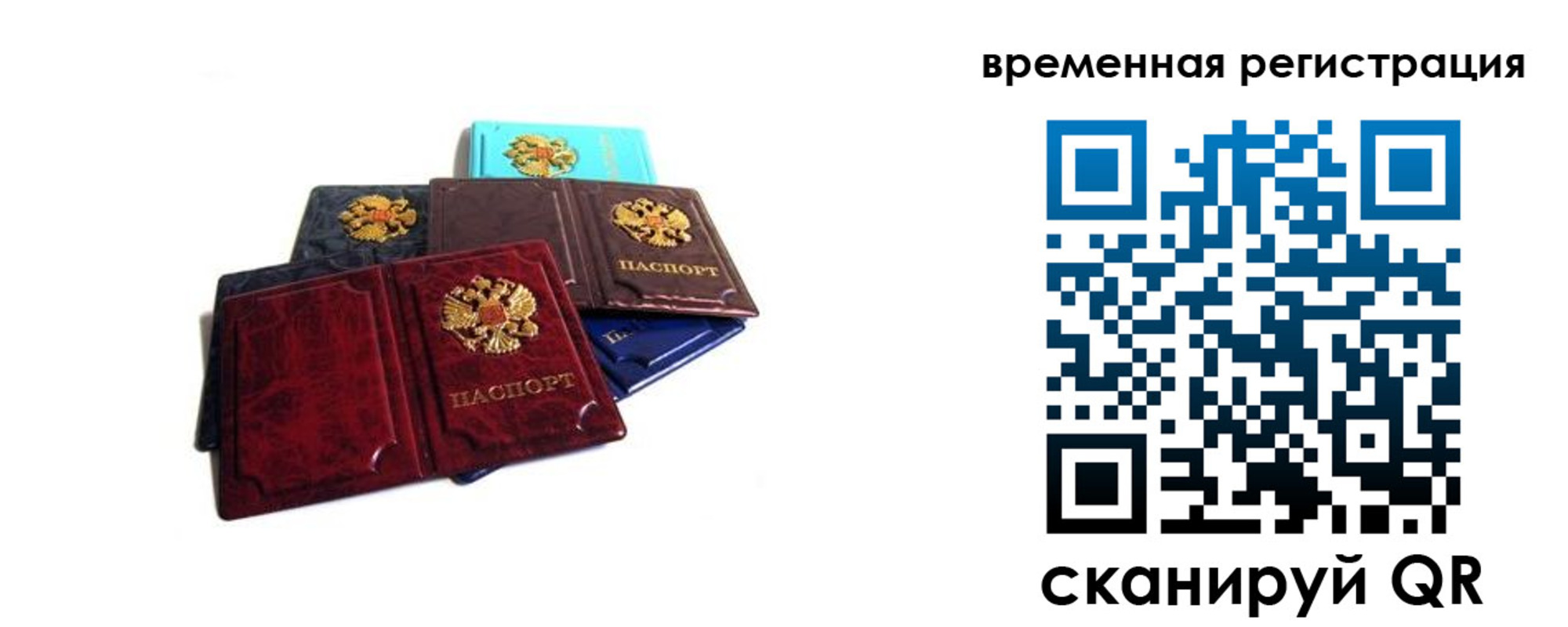 прописка для работы в Мытищах